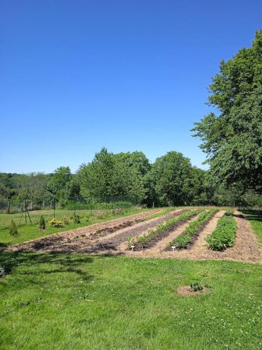 Les Jardins Des 3 Provinces- Gite Montcharvot Eksteriør bilde