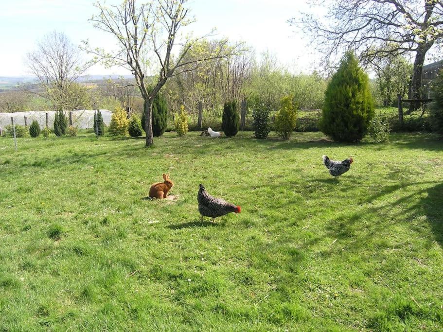 Les Jardins Des 3 Provinces- Gite Montcharvot Eksteriør bilde