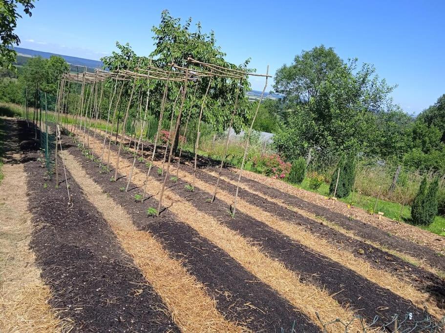Les Jardins Des 3 Provinces- Gite Montcharvot Eksteriør bilde