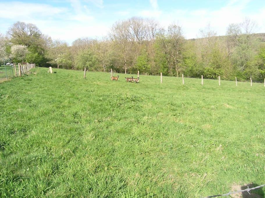 Les Jardins Des 3 Provinces- Gite Montcharvot Eksteriør bilde