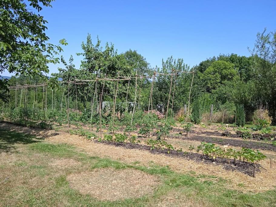Les Jardins Des 3 Provinces- Gite Montcharvot Eksteriør bilde