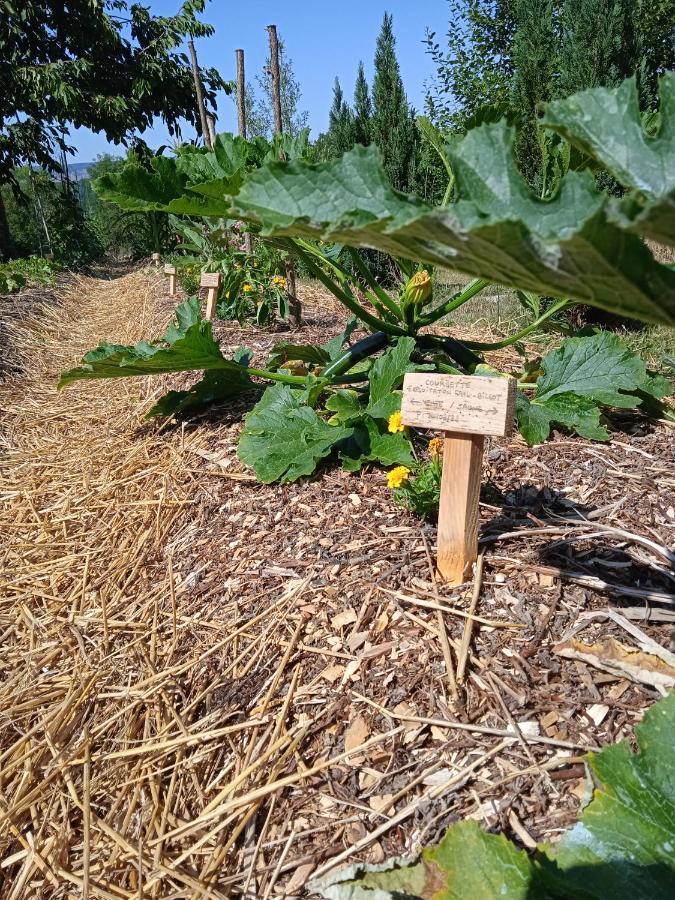 Les Jardins Des 3 Provinces- Gite Montcharvot Eksteriør bilde